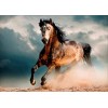 Horse 5D DIY Diamond Painting Kits UK KN80093