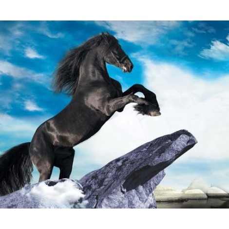 2019 Modern Art Animal Black Horse Pattern 5d Diy Diamond Painting Kits UK VM07027