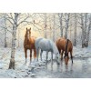 New Arrival Hot Sale Animal Horse Picture 5d DIY Diamond Painting Kits UK VM8182