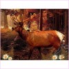 Deer 5d Diy Diamond Painting Kits UK KN80133