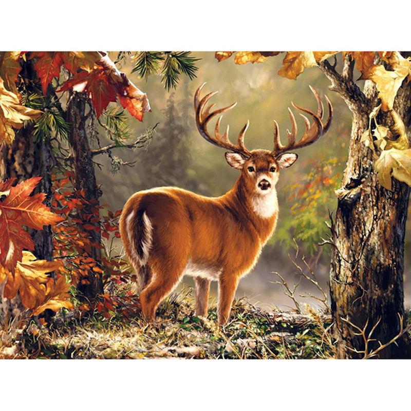 Deer In Forest Embro...
