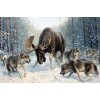 Winter 5D DIY Diamond Painting Wolves Deer Embroidery Rhinestone Kits VM10006