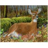 2019 New Hot Sale Cute Deer Wall Decor 5d Diy Diamond Painting Kits UK VM9105