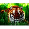 2019 New Animal Portraits Close Up 5d Diy Diamond Painting Tiger UK VM2001