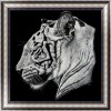 Cheap Black White Tiger Pattern 5d Diy Diamond Painting Kits UK VM9655
