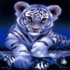 2019 Special Diamond Cute Tiger Pattern 5d Diy Crystal Painting Kits UK VM7315