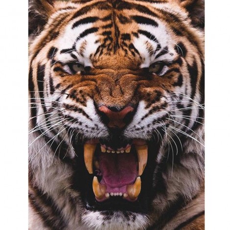 Animal Angry Tiger Full Drill 5D Diy Diamond Painting Kits Uk VM90541