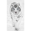 Winter 5D DIY Diamond Painting White Tiger Animal Embroidery VM92385