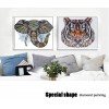 2019 New Special Tiger Pattern 5d Diy Diamond Painting Kits UK VM8008