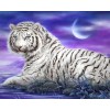 2019 New Dream Photo Animal Tiger 5d Diy Diamond Painting Kits UK VM9074