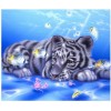 2019 Dream Animal Cute Tiger Pattern 5d Diy Diamond Painting Kits UK VM9685