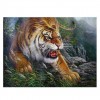 New Hot Sale Tiger 5d Cross Stitch Diy Painting By Crystal Kits UK QB5109