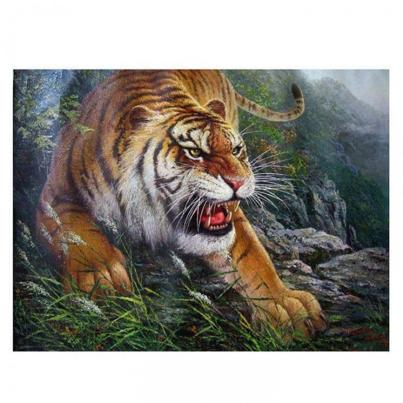 New Hot Sale Tiger 5...