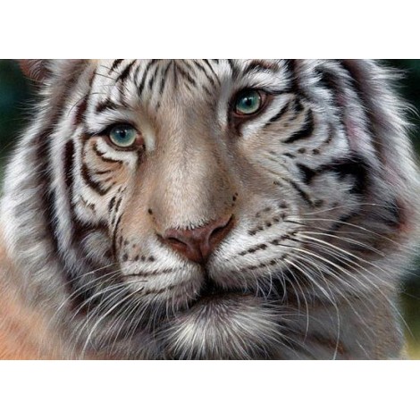2019 Full Drill 5D DIY Diamond Painting Tiger Cross Stitch Rhinestone Mosaic VM90178