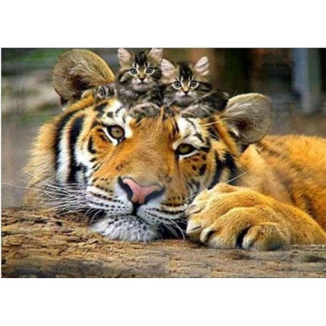 Special 2019 New Animal Tiger 5d Diy Cross Stitch Diamond Painting Kits UK QB5067