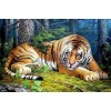 2019 New Hot Sale Tigers 5D Diy Diamond Mosaic Cross Stitch Kits UK VM7556