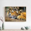 Special 2019 New Animal Tiger 5d Diy Cross Stitch Diamond Painting Kits UK QB5067
