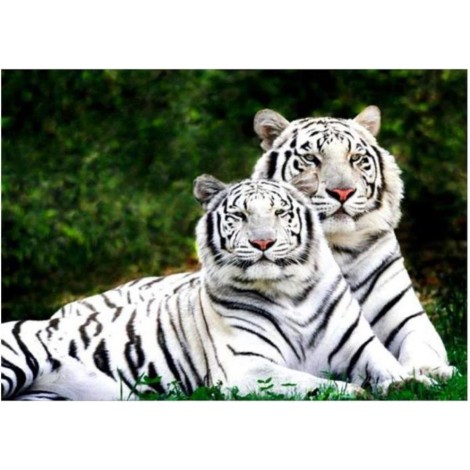 Hot Sale Animal Tiger 5d Diy Cross Stitch Diamond Painting Kits UK QB5068