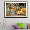 Special 2019 New Animal Tiger 5d Diy Cross Stitch Diamond Painting Kits UK QB5067