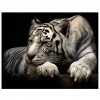 2019 New Special Tiger 5d Diy Cross Stitch Diamond Painting Kits UK QB5073