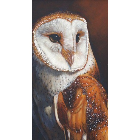 2019 Owl Face Embroidery Mosaic Cross Stitch 5D DIY Diamond Painting Kits UK VM90317