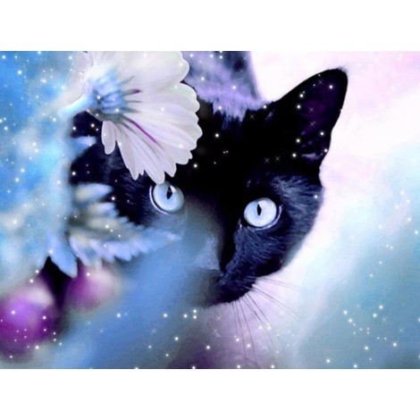 2019 Hot Sale Beautiful Black Cat 5d Diy Diamond Painting Kits Cross Stitch UK VM0003