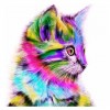 Hot Sale Special Beautiful Cat 5d Diy Cross Stitch Diamond Painting Kits VM0001