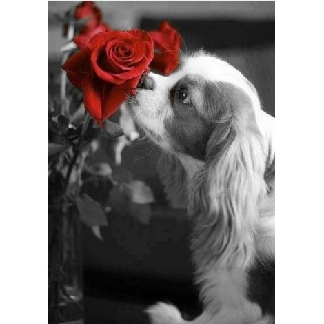 2019 New Modern Art Dog And Red Rose 5d Diy Diamond Painting Kits UK VM9222