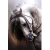 Hot Sale Cheap Horse 5D Square Diamond Painting UK VM1124