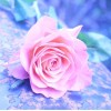 Romantic Hot Sale Pink  Rose Diamond Painting Kits UK AF9313
