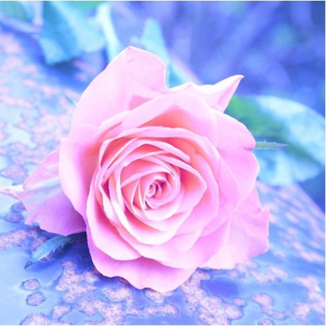 Romantic Hot Sale Pink  Rose Diamond Painting Kits UK AF9313