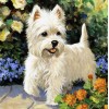 2019 Oil Painting Style Rhinestone Dog 5d Diy Diamond Painting Kits UK VM6002