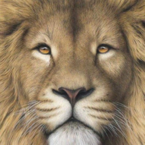 2019 Style Lion Pattern Diy 5d Full Diamond Painting Kits UK QB5862