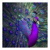 Purple and blue Oil Painting Styles Peacock Diamond Painting Kits UK AF9057
