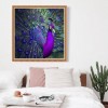 Purple and blue Oil Painting Styles Peacock Diamond Painting Kits UK AF9057