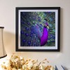 Purple and blue Oil Painting Styles Peacock Diamond Painting Kits UK AF9057