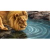 Lion 5d Diy Diamond Painting Kits UK KN80017
