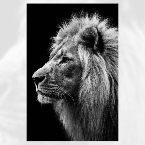 2019 Black And White Animal Lions Portrait 5d Diy Diamond Painting Kits UK VM7793