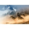 Winter Wolf 5d Diy Diamond Painting Kits UK KN80021