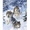 Oil Painting Style New Arrival 5d Diy  Diamond Painting Snow Wolf UK VM8623