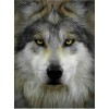 2019 New Hot Sale Stitch Kit Fast Delivery 5d Diy  Diamond Painting Wolf UK VM8624