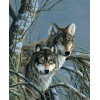 2019 New Hot Sale Various Sizes 5d Diy Diamond Painting Wolf Kits UK VM8634