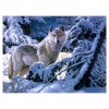 For Beginners Wolf Pattern 5d Diy Cross Stitch Diamond Painting Kits UK QB6420