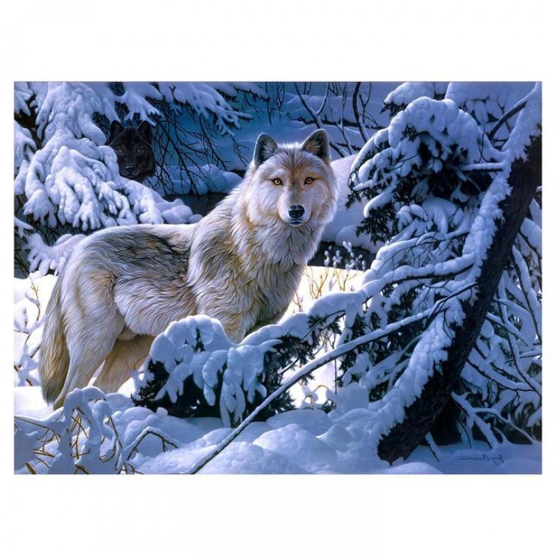 For Beginners Wolf P...