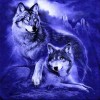 2019 Dream Full Square Wolf Portrait 5d Diy Painting Rhinestones UK VM1973