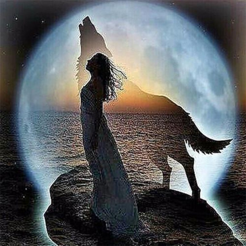 Dream Wolfs And Beau...
