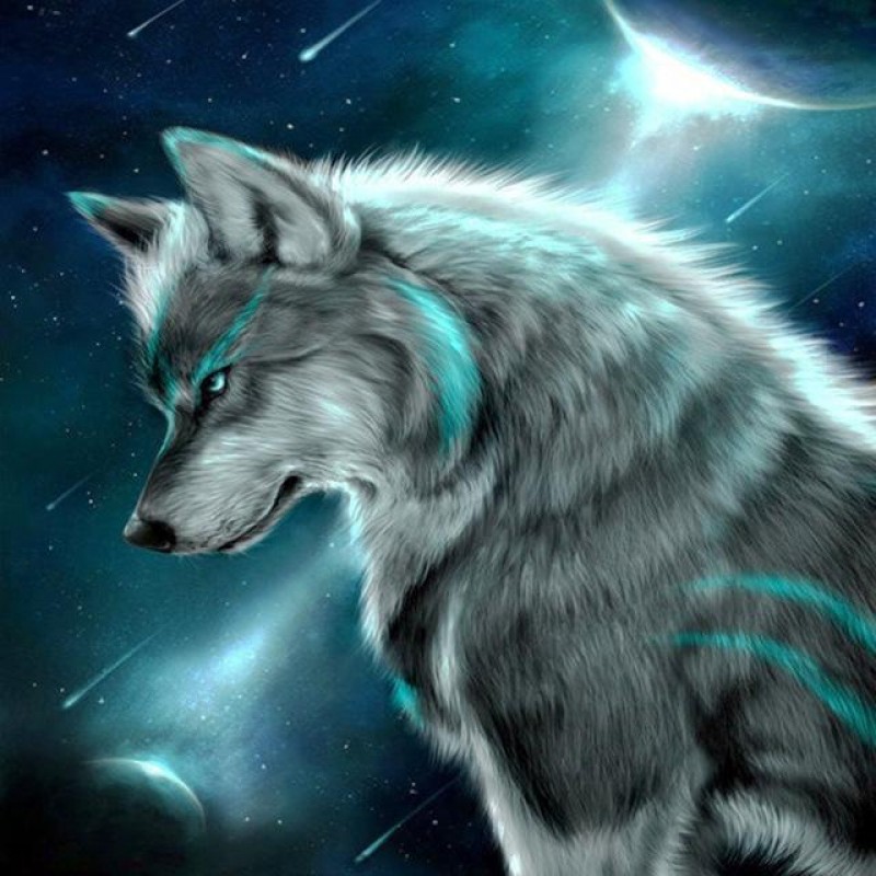 Special Wolf Pattern...
