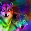 Dream 5D DIY Color Wolf Diamond Painting Cross Stitch Kits VM88848