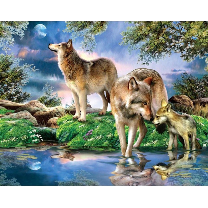 Wolf In Forest Full ...