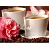 2019 Special Coffee Cup Picture Diy 5d Diamond Painting Kits UK VM3005